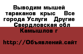 Выводим мышей ,тараканов, крыс. - Все города Услуги » Другие   . Свердловская обл.,Камышлов г.